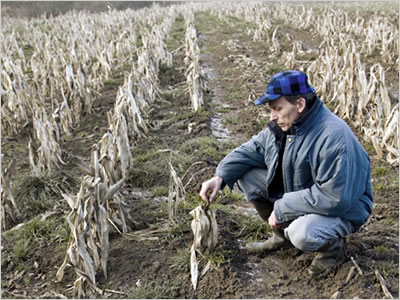 Is a Global Food Crisis Brewing? (iStockphoto)