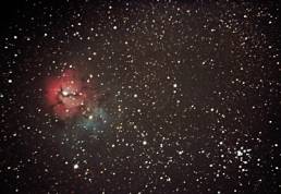 The Cosmos