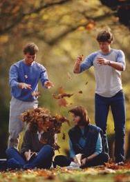 Playing with leaves